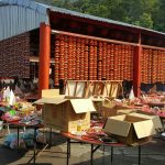 2016丙申年中元普渡法會_650